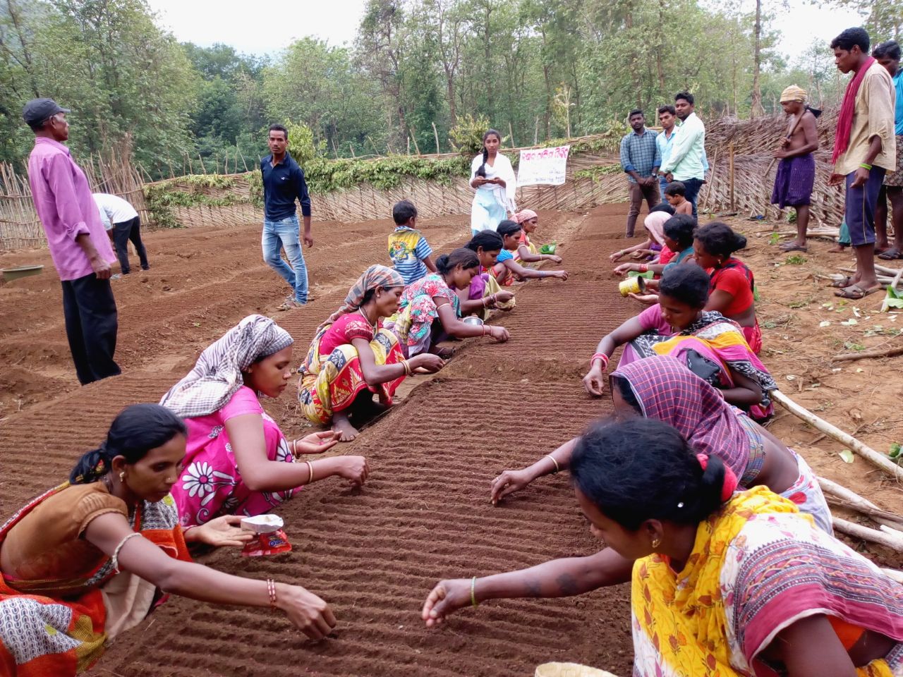 Female participation in agriculture in India