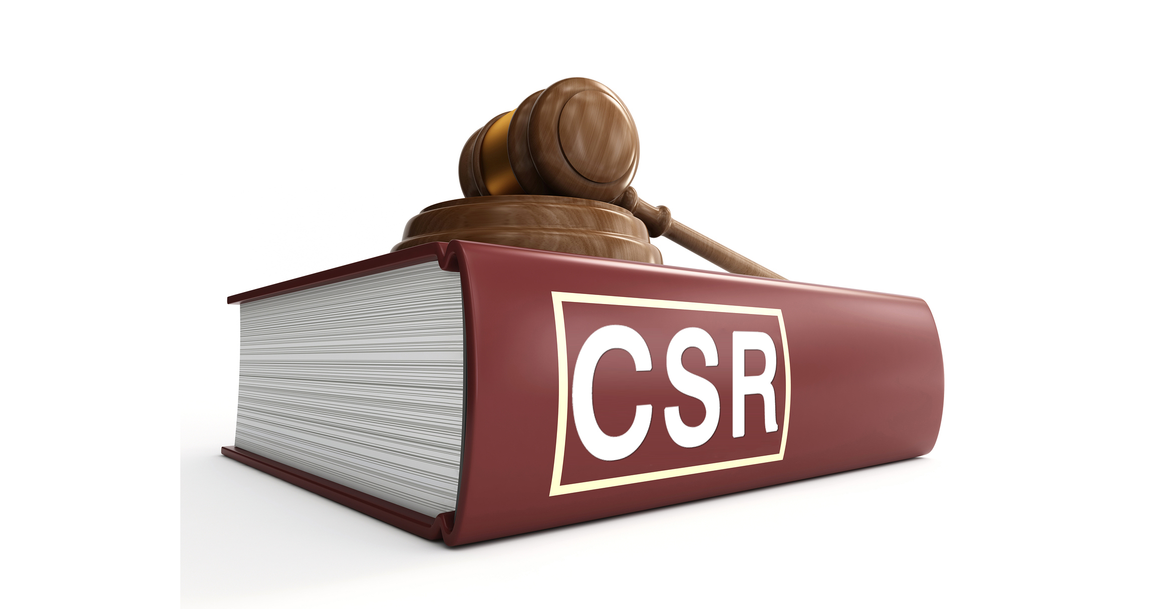 list of CSR consultants in India