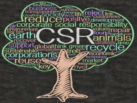 Redefine the CSR Sector - Fiinovation