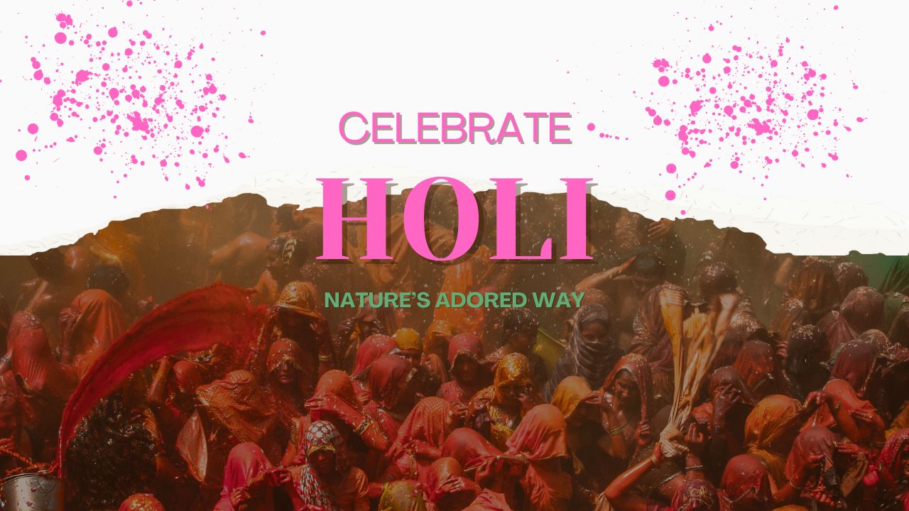 celebrate holi